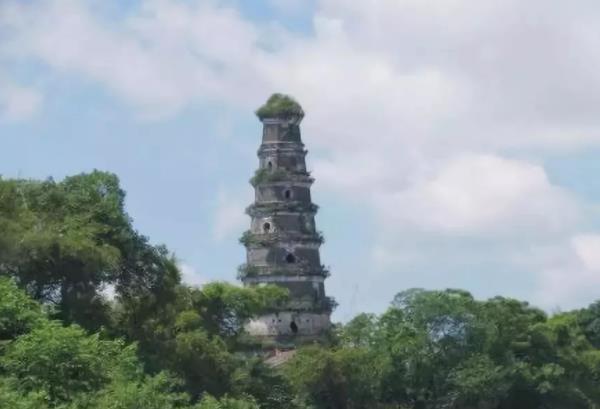 助力廣西港南區(qū)委托招商引資，強化工業(yè)主導(dǎo)地位，增強縣域經(jīng)濟實力