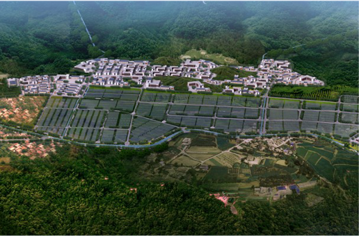 集團(tuán)全力助推福建寧德周寧縣委托招商引資，強(qiáng)化特色產(chǎn)業(yè)實(shí)力，為全縣高質(zhì)量發(fā)展增添新動(dòng)力