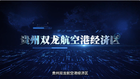 集團(tuán)全力助推貴州雙龍航空港經(jīng)濟(jì)區(qū)委托招商引資，搶占發(fā)展先機(jī)，打造開放經(jīng)濟(jì)新高地